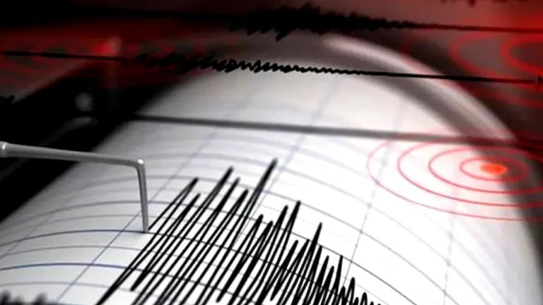 Cutremur cu magnitudinea 3,6 resimțit joi dimineață în zona Vrancea