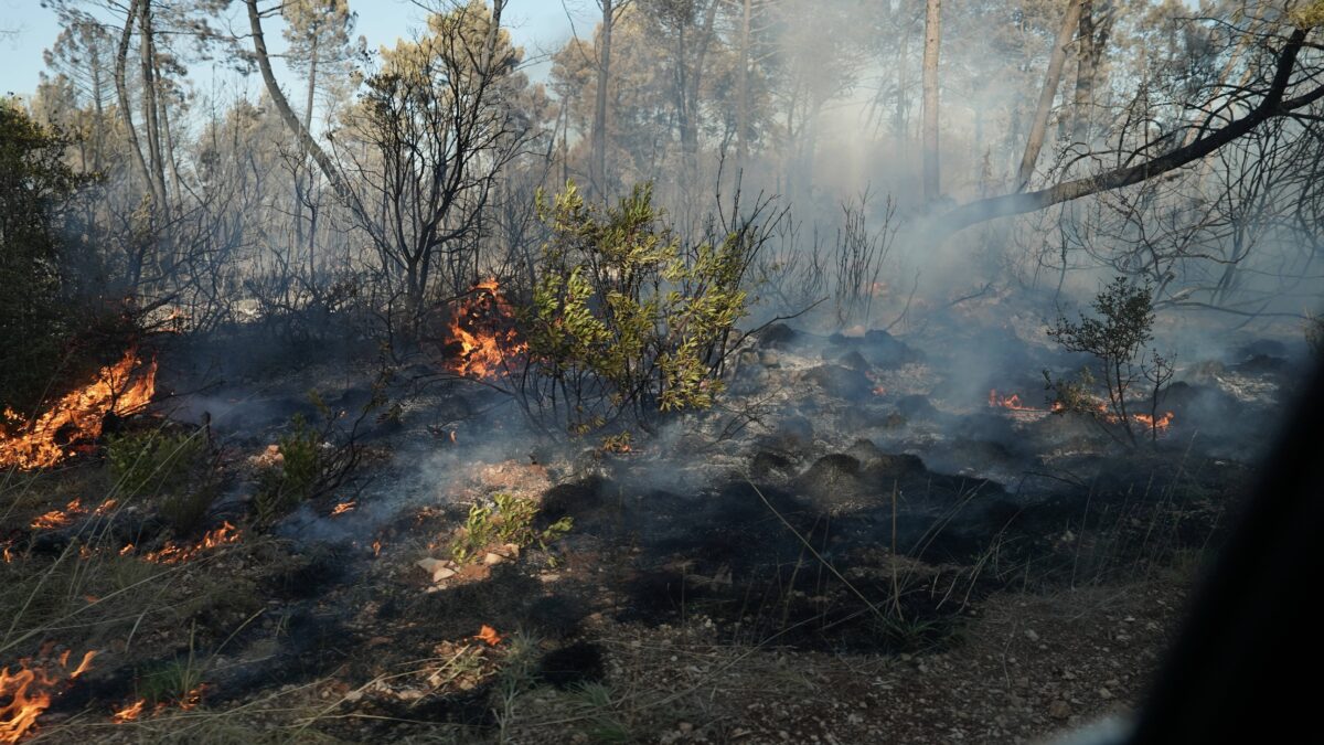 Incendiul de pe insula Brac a evacuat 500 de persoane