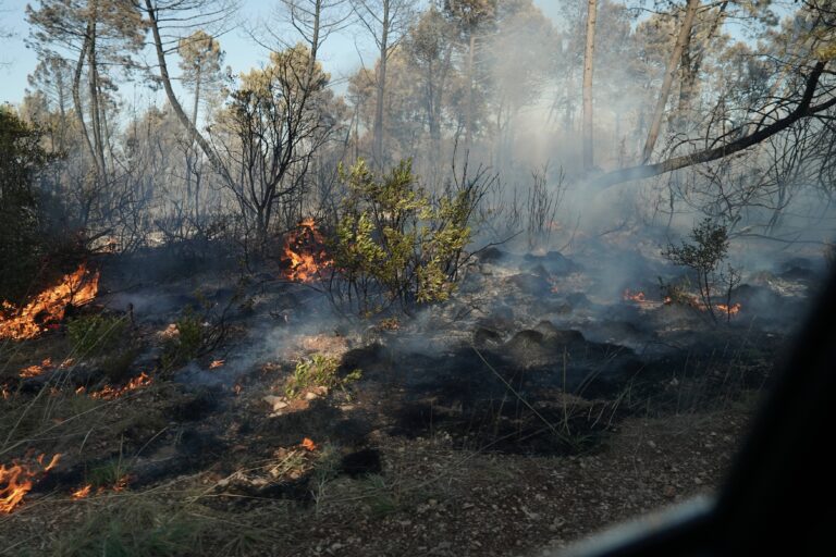 Incendiul de pe insula Brac a evacuat 500 de persoane