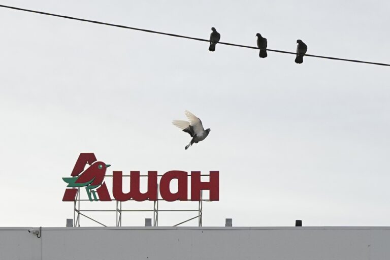 Putin transferă activele Auchan, Nestlé și Leroy Merlin